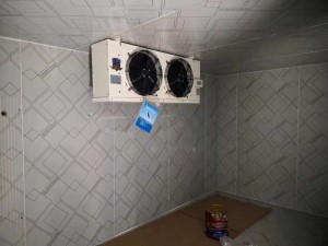 上?！ぜ味?0立方啤酒冷庫(0-5度）