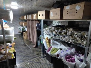 上?！ぜ味?5立方鮮花冷庫保鮮庫