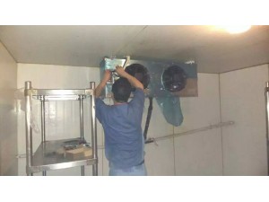 福建.南平 100立方茶葉保鮮庫